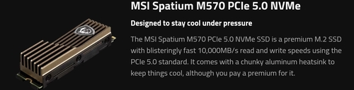 Msi.jpg